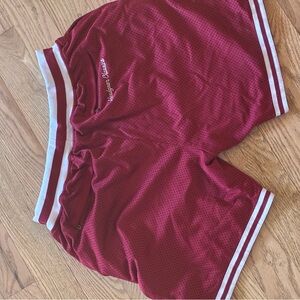Burgundy Mesh Men Shorts